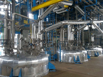 Stainless steel reactor