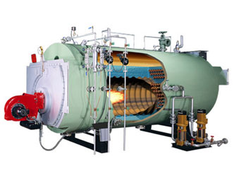 Fire tube boiler